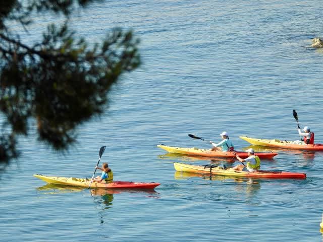 Kayak