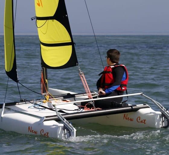 New Cat 12